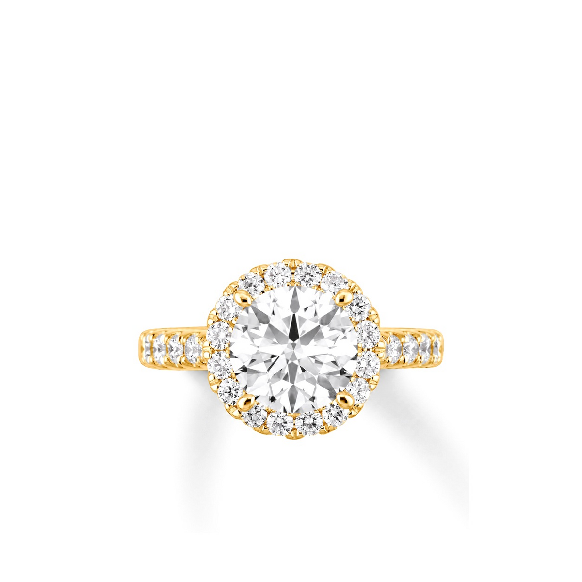 MONTE CARLO